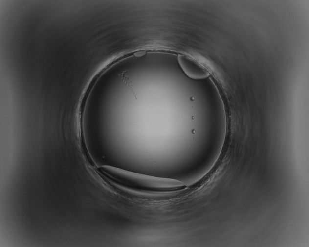 X0000095931238200801111249