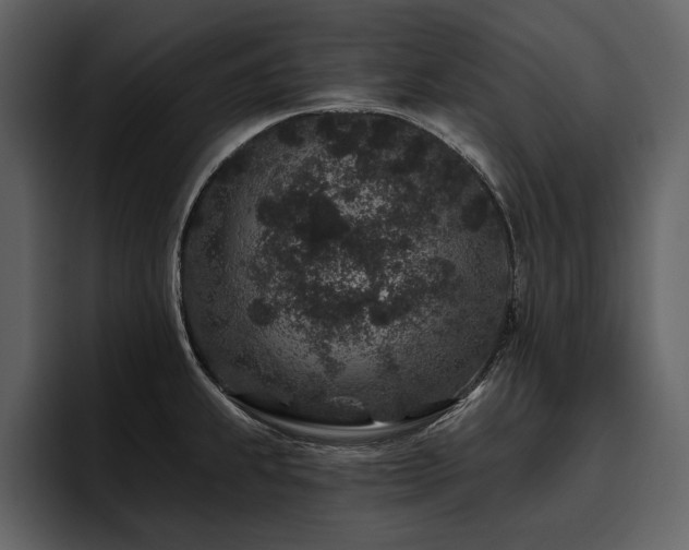 X0000095931239200801111249