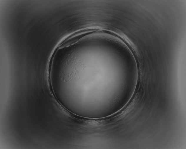 X0000095931240200801111249