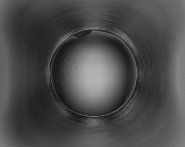 X0000095931242200801111249
