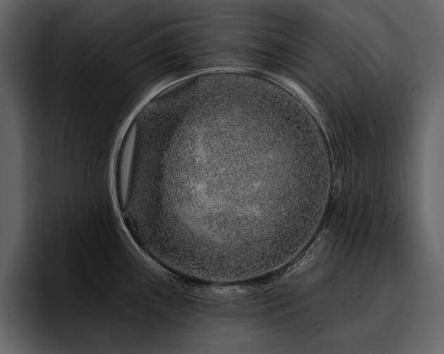 X0000095931243200801111249