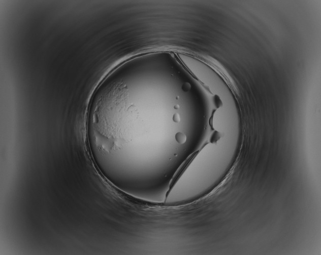 X0000095931244200801111249