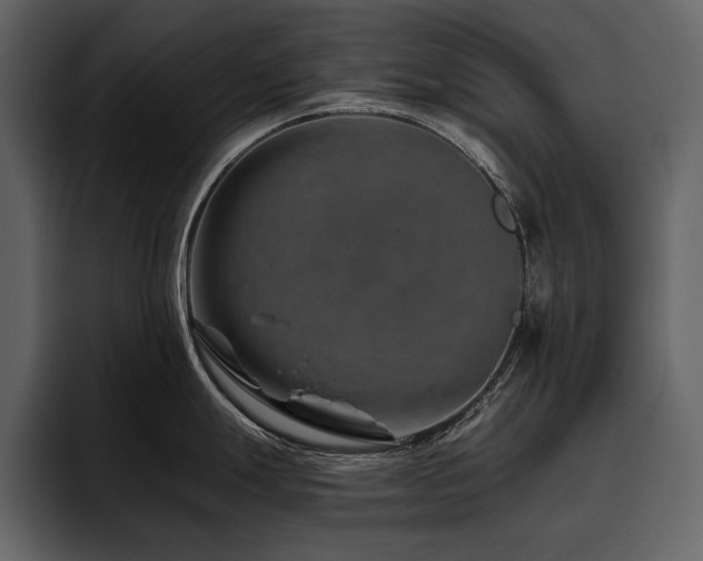 X0000095931247200801111249