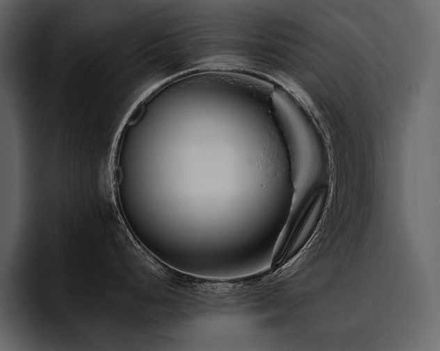 X0000095931248200801111249