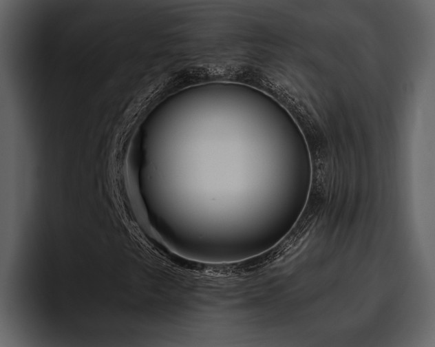 X0000095931249200801111248