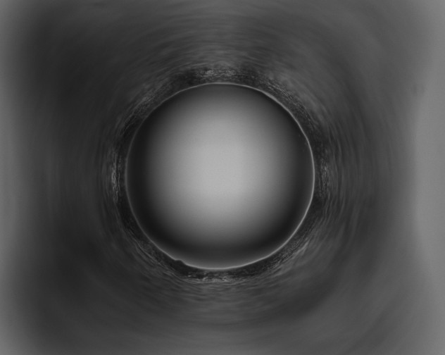 X0000095931250200801111248
