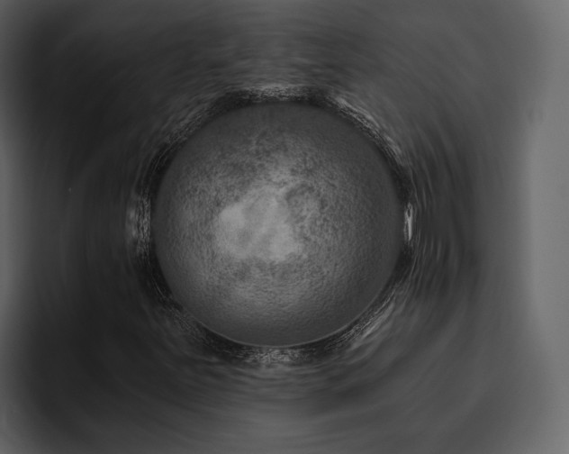X0000095931251200801111248