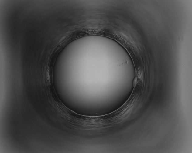 X0000095931252200801111248