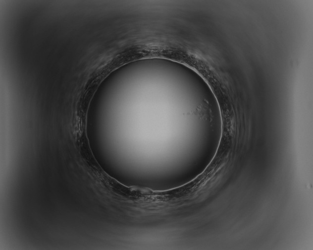 X0000095931253200801111248