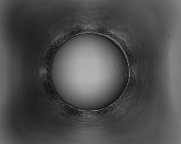 X0000095931254200801111248
