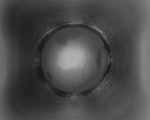 X0000095931255200801111248