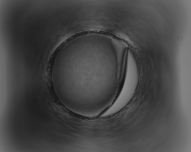 X0000095931256200801111248