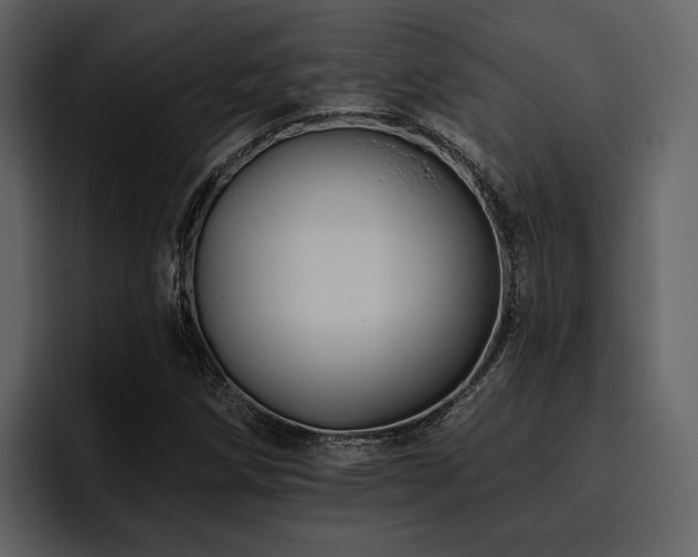 X0000095931258200801111248