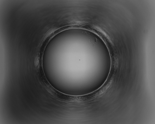 X0000095931259200801111248