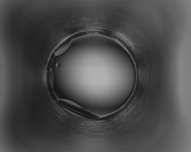 X0000095931260200801111248