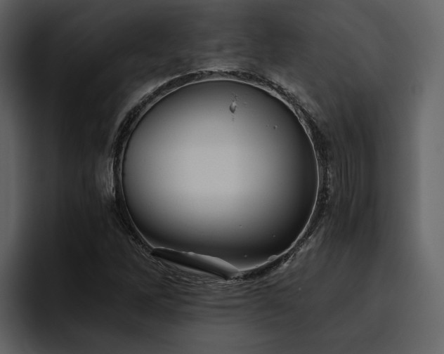 X0000095931262200801111248
