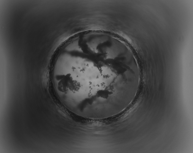 X0000095931263200801111248