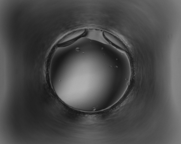 X0000095931264200801111248