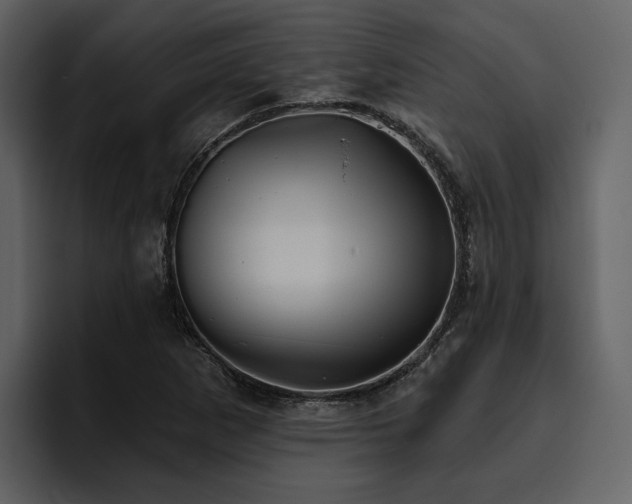 X0000095931265200801111248