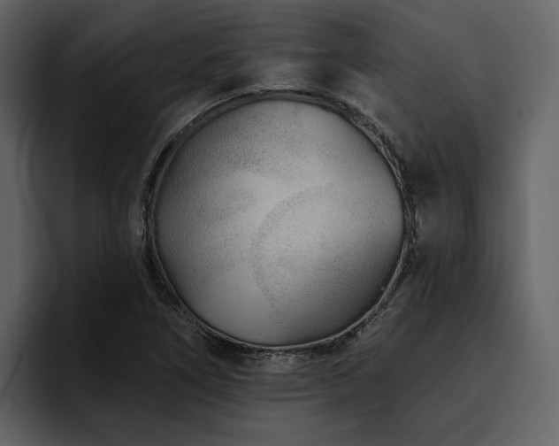 X0000095931266200801111248