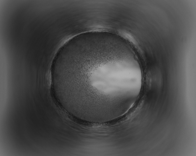 X0000095931267200801111248