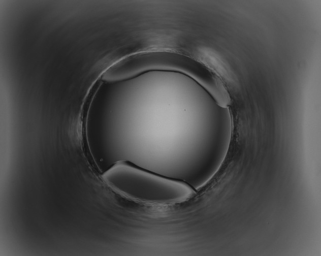 X0000095931268200801111248