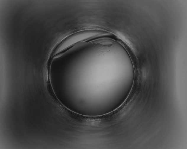 X0000095931269200801111248