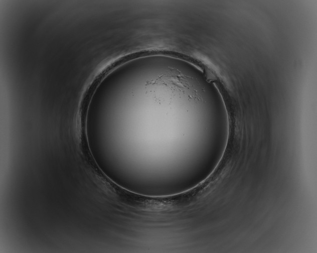 X0000095931270200801111248