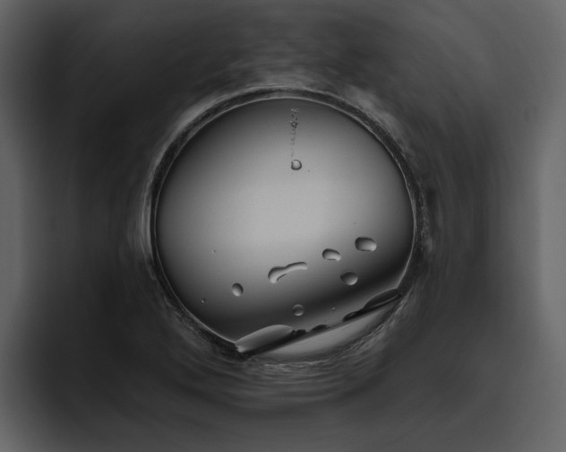 X0000095931272200801111248