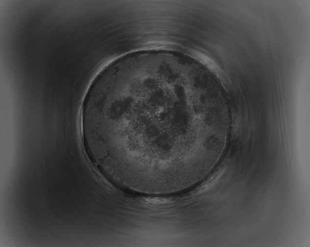 X0000095931275200801111248