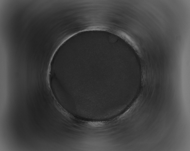 X0000095931276200801111248
