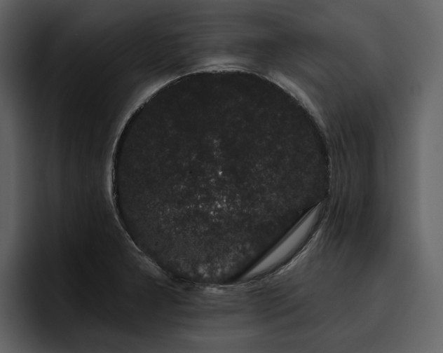 X0000095931277200801111248