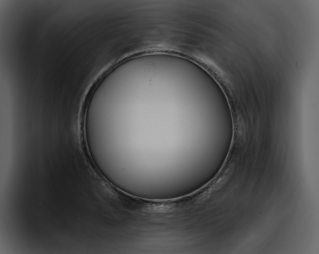 X0000095931278200801111248