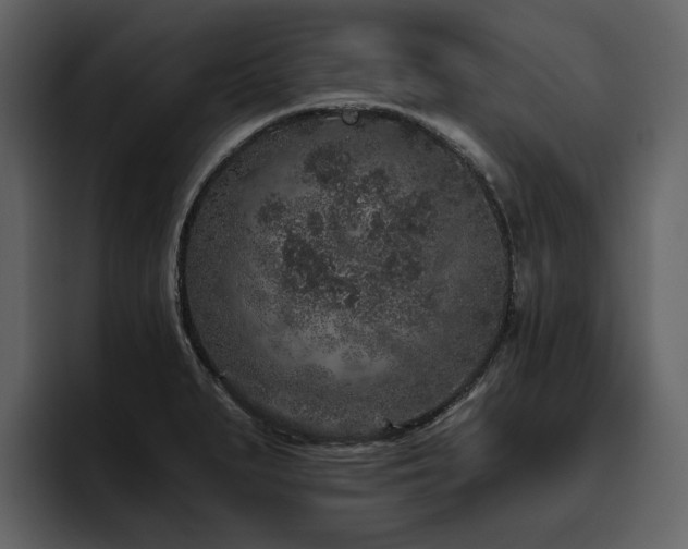 X0000095931279200801111248