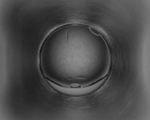 X0000095931280200801111248