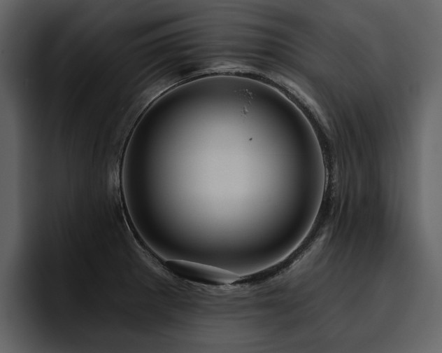 X0000095931281200801111248