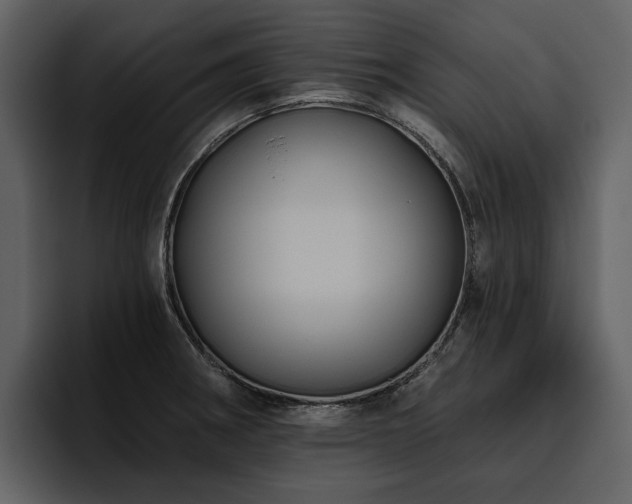 X0000095931282200801111248