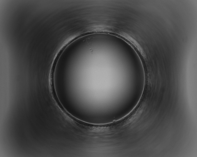 X0000095931285200801111248