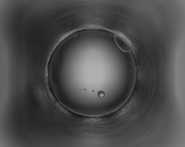 X0000095931287200801111248