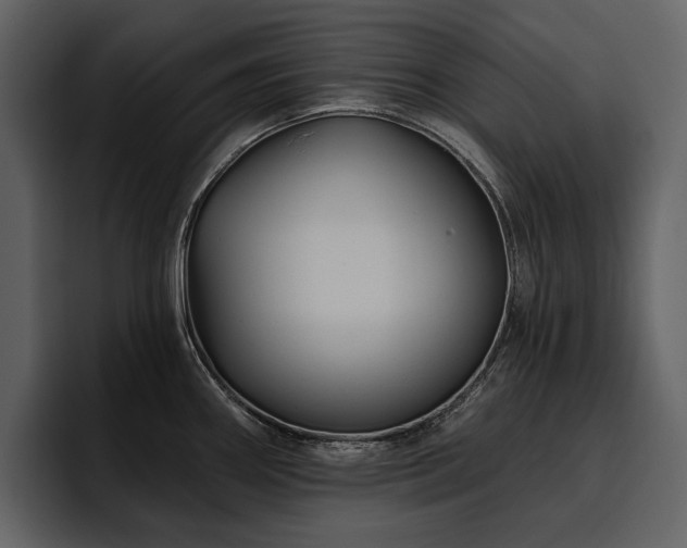X0000095931290200801111247