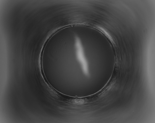 X0000095931291200801111247