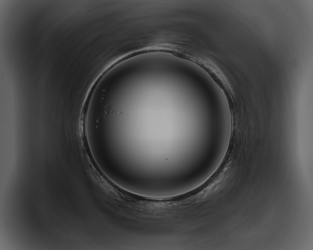 X0000095931292200801111247