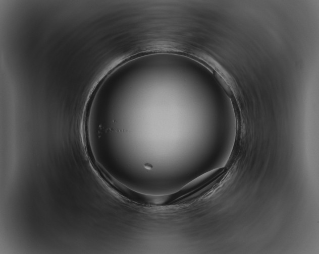 X0000095931293200801111247