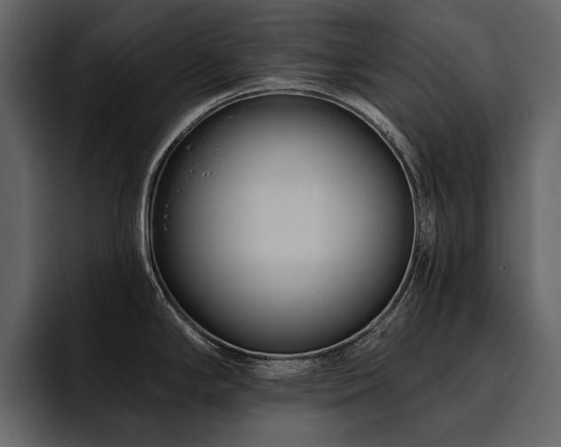 X0000095931294200801111247