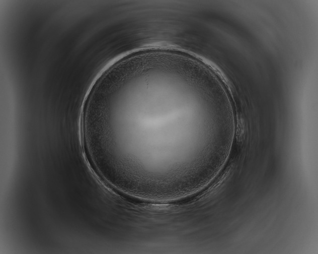 X0000095931295200801111247