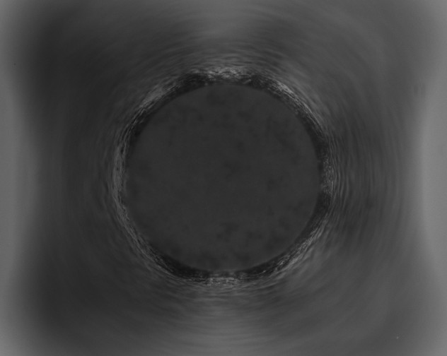 X0000095931297200801111247