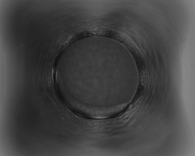 X0000095931298200801111247