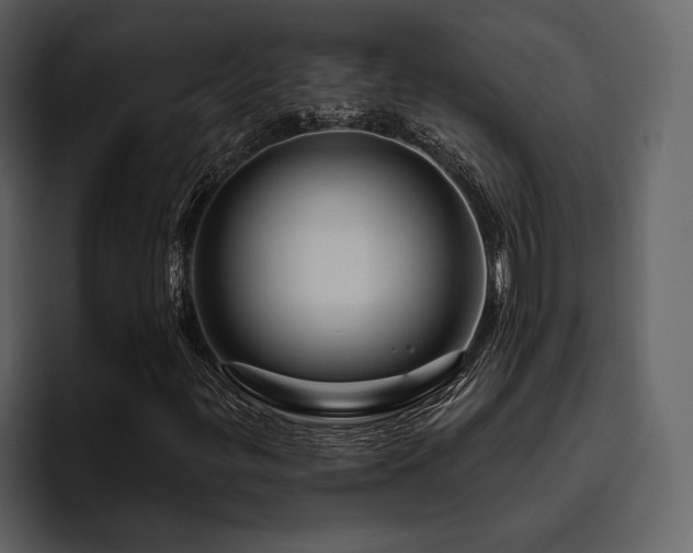 X0000095931299200801111247