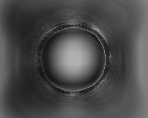 X0000095931304200801111247