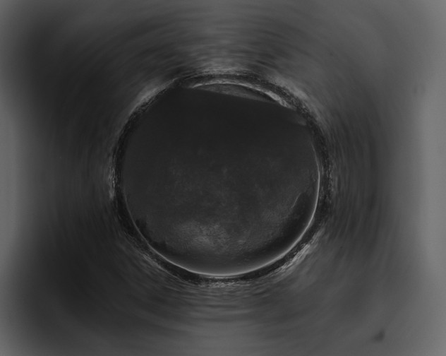X0000095931306200801111247